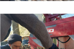 Holzworkshop_Instabeitrag_Bild_2